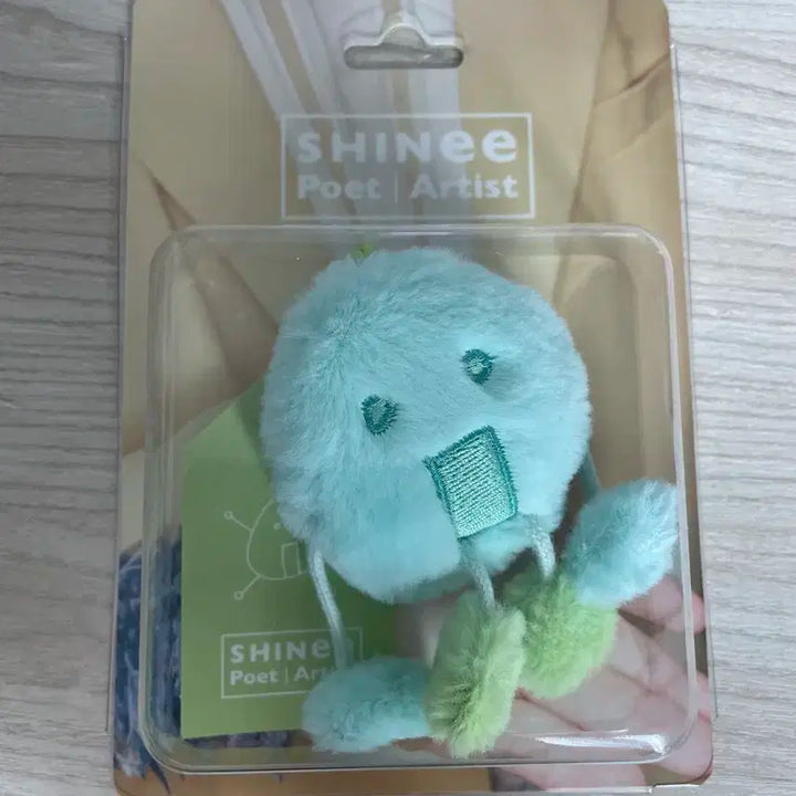 샤이니 앨범 포엣아 플러피 버전 온유