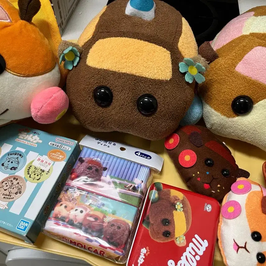 모루카 일괄