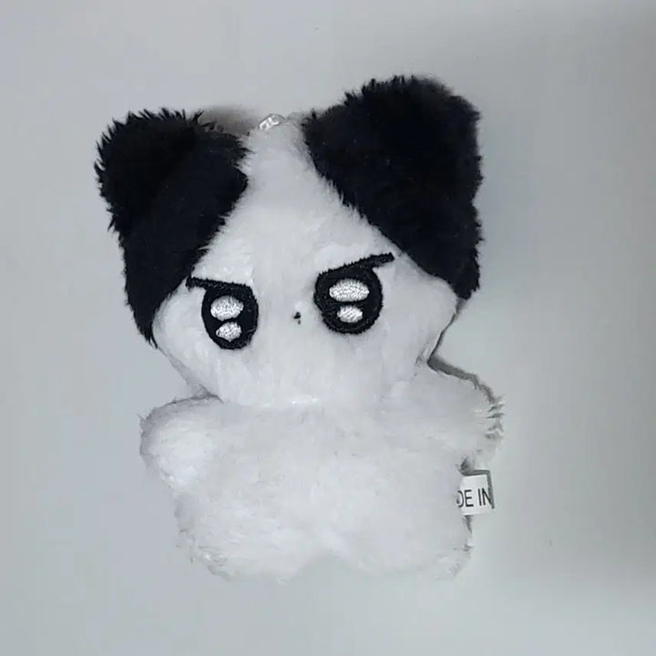 스테이씨 아이사 인형 미니사
