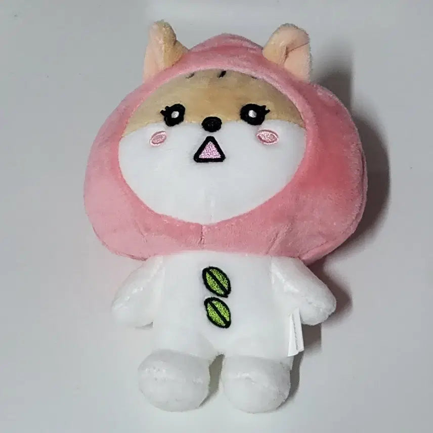 스테이씨 세은 인형 세복