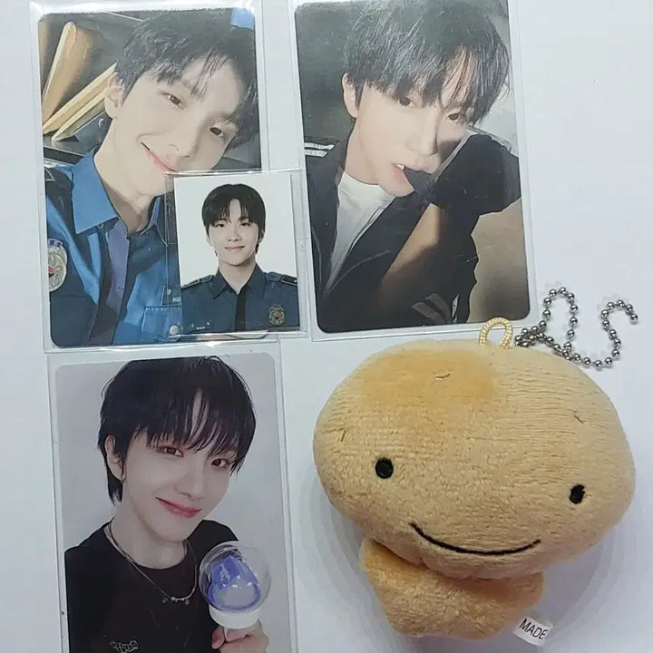 [일괄] 운학 포카+ 운감자 세트