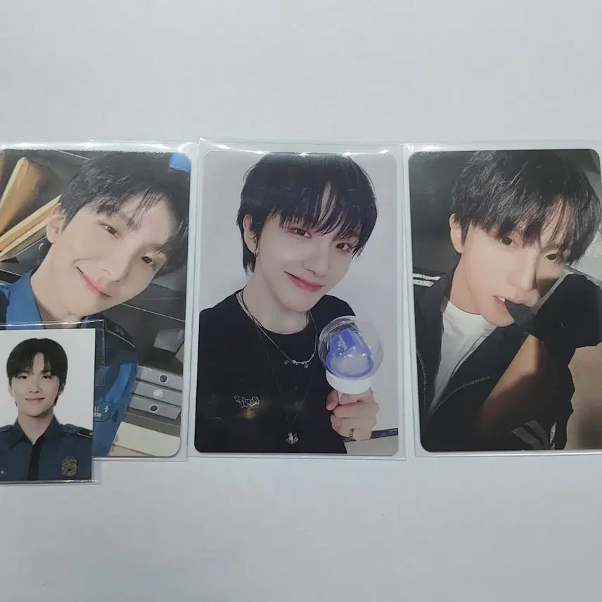 [일괄] 운학 포카+ 운감자 세트