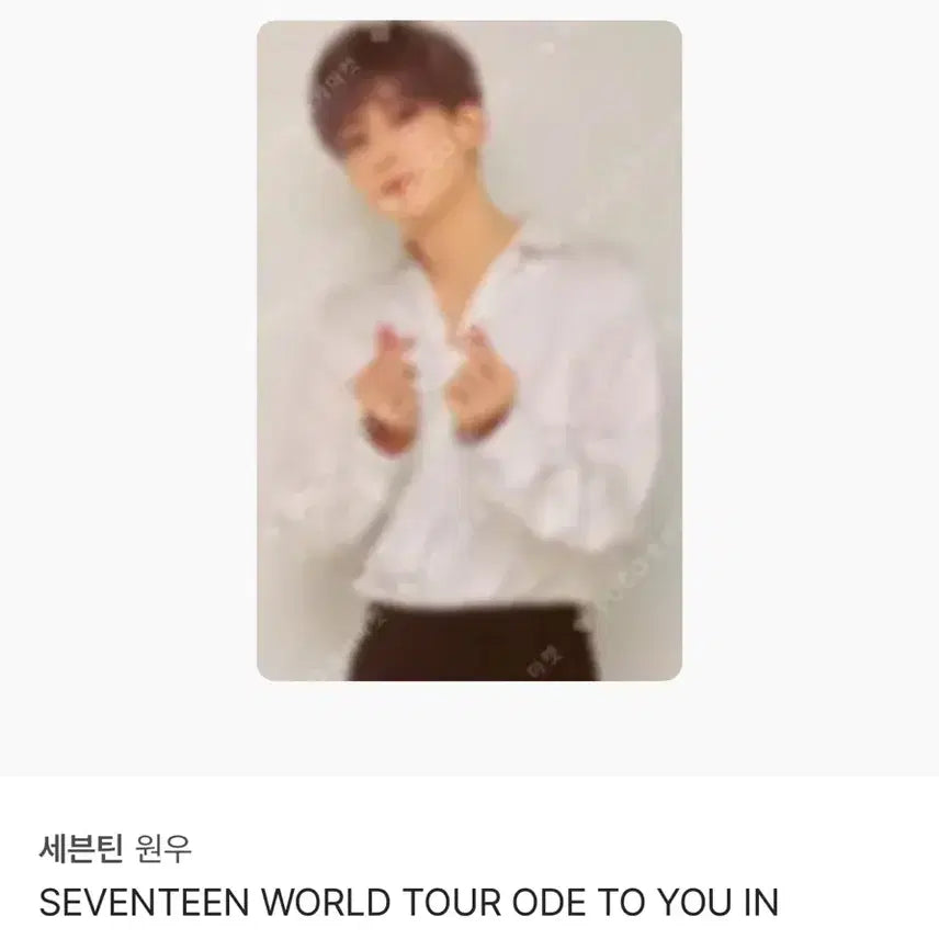 세븐틴 원우 오드투유 블루레이 포카 양도 ode to you