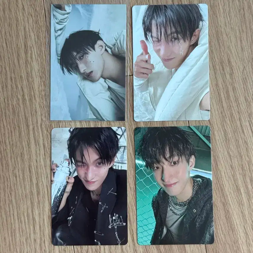 세븐틴 도겸 포카 일괄