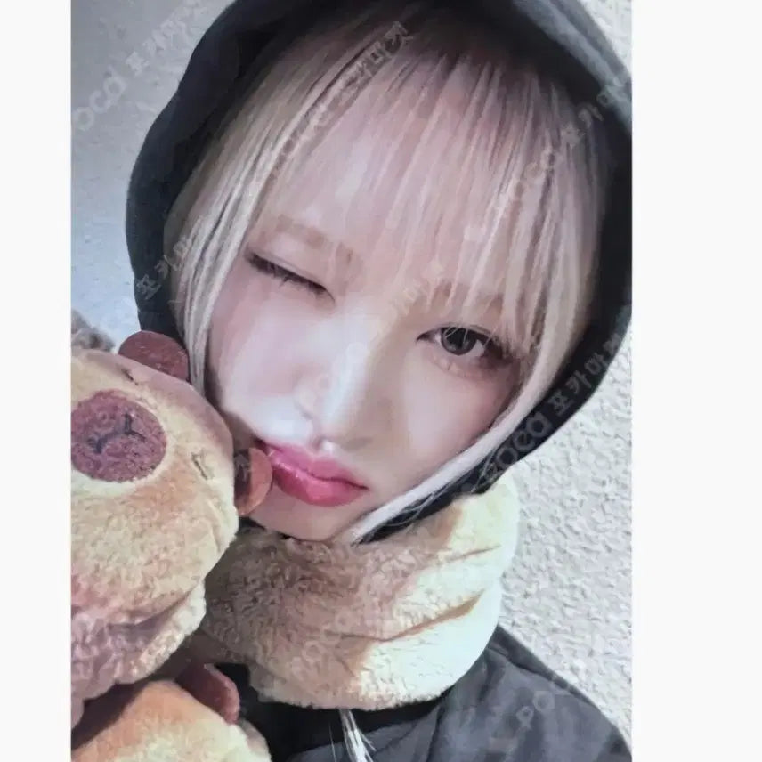 아이브리즈김지원스위치이즈위카피바라포카시세킹갓매급처양도