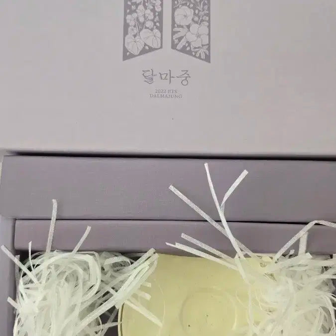 달마중 인세스
