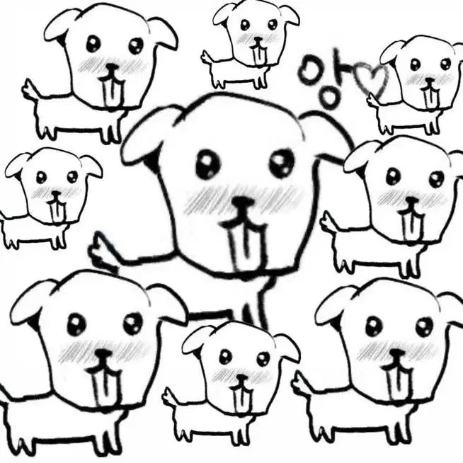 방탄소년단 앨범 포토카드 일괄