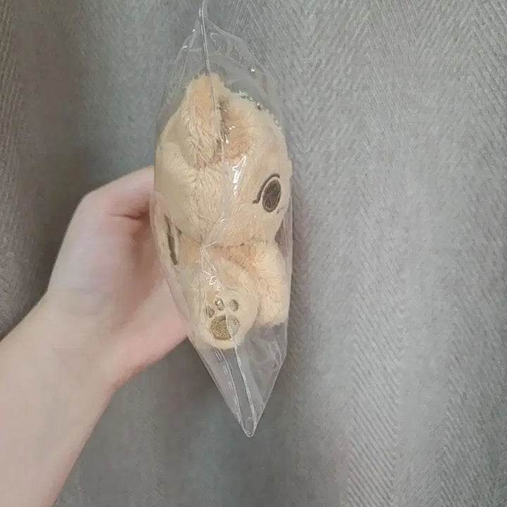 아이브 가을 비공식 10cm 인형 앉은 포링이