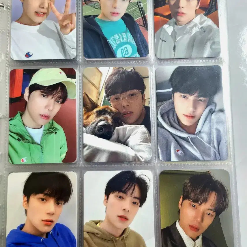 (반택포) 몬스타엑스 포카 90장 양도
