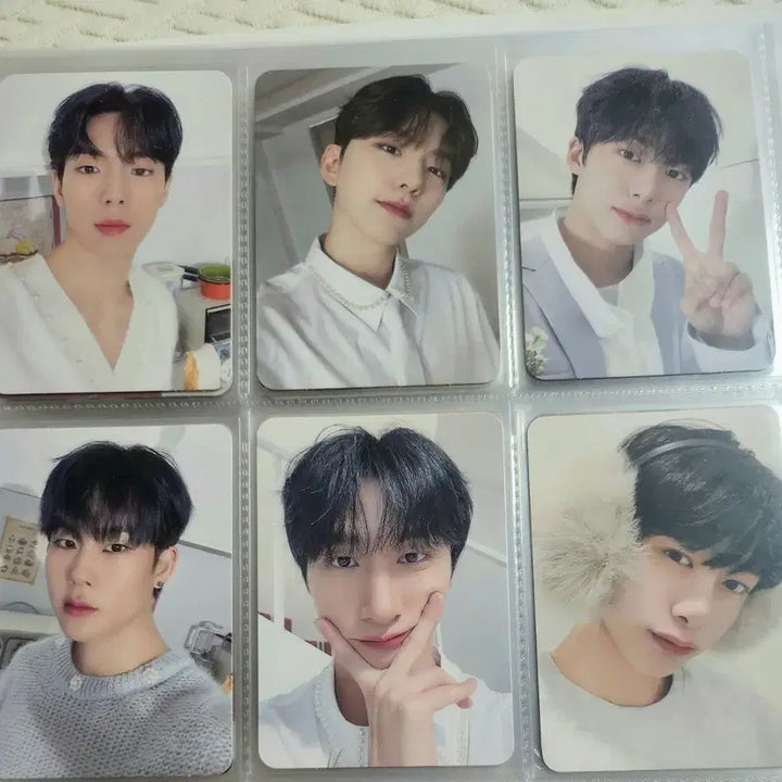 (반택포) 몬스타엑스 포카 87장 양도