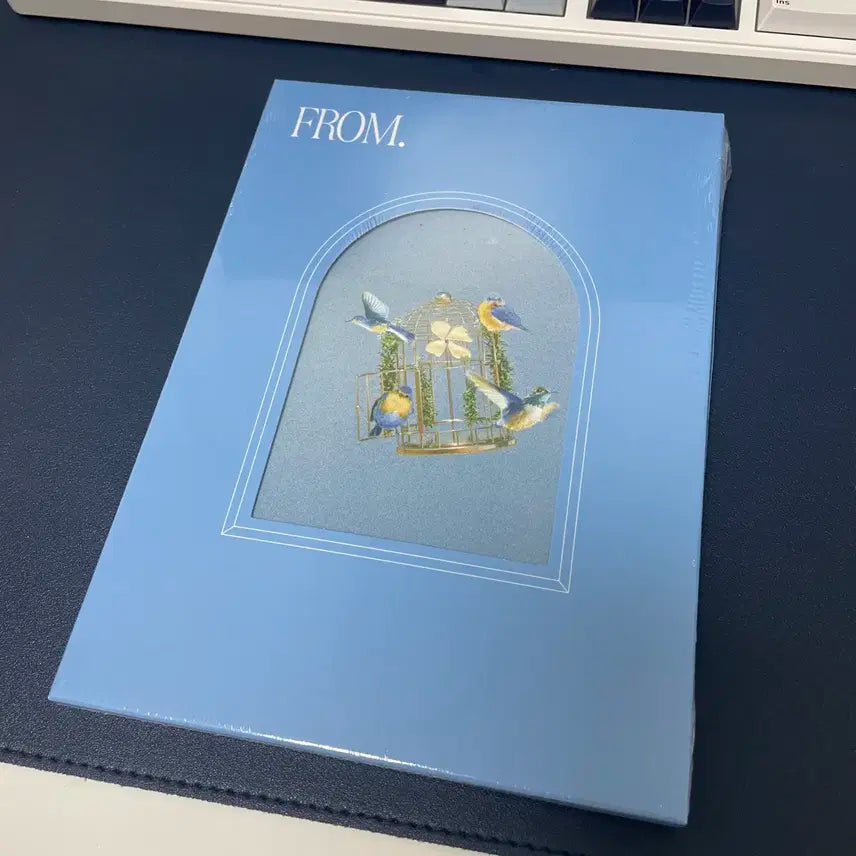 루시 프롬 미개봉 앨범