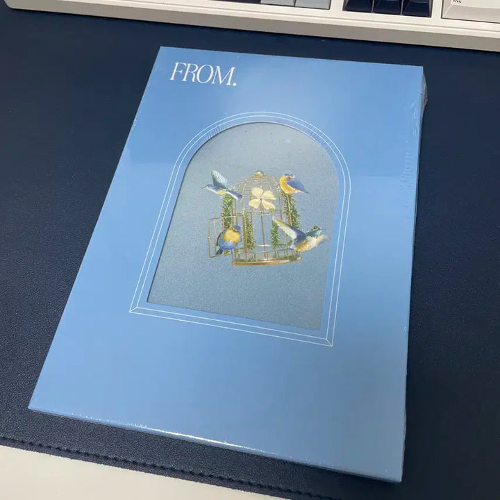 루시 프롬 미개봉 앨범