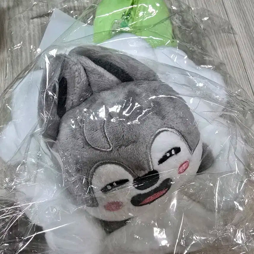 스키즈 스키주 울프찬 일본 재팬 팝업 스트레이키즈 양도 펜필통 꽃송이