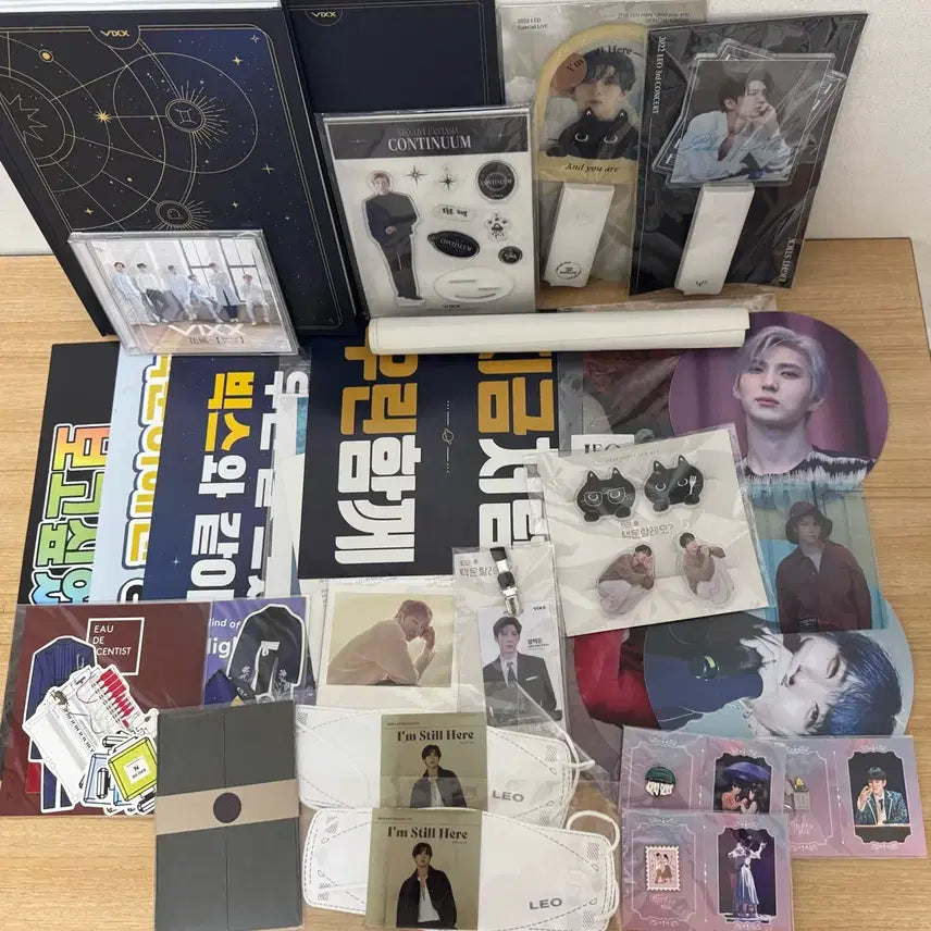 빅스 굿즈 일괄