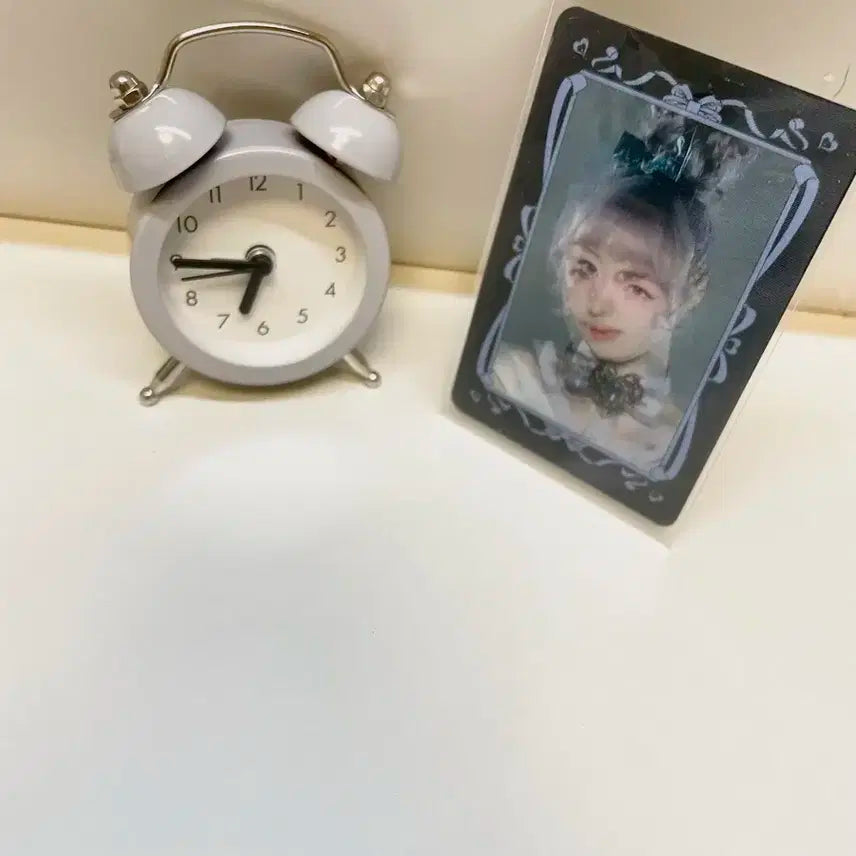 리즈 SWITCH 앨포