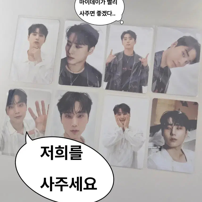 영케이 밴드에이드 포카 일괄