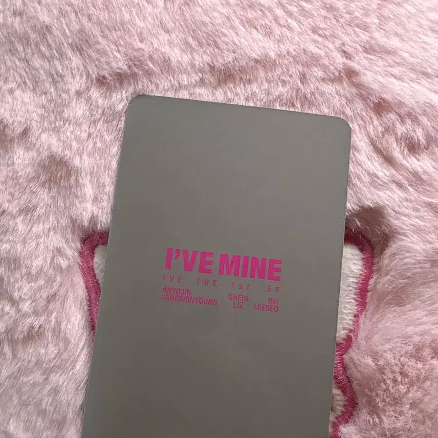마인 배디 원영 포카