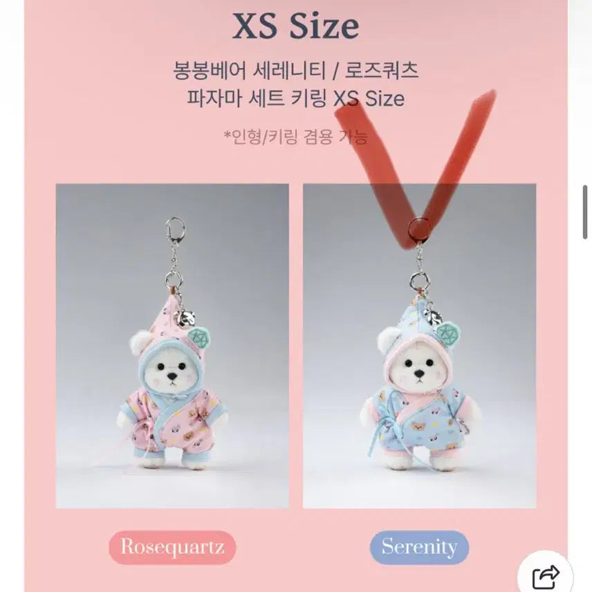 [세븐틴 봉봉이 콜라보] 10주년 한정판 봉봉베어 XS