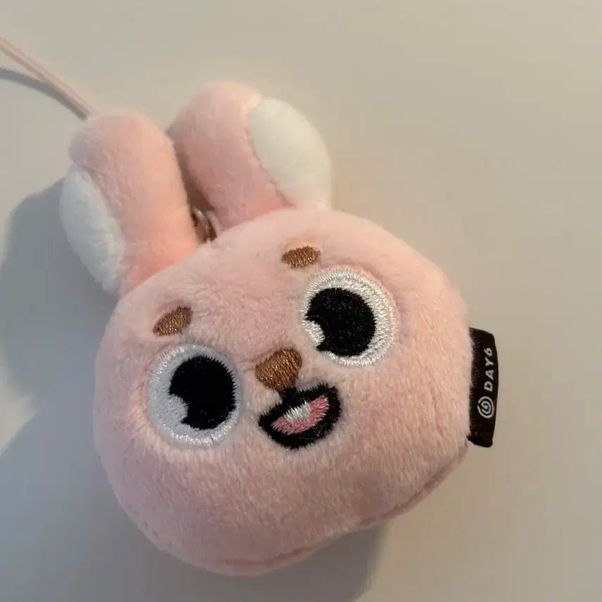 단순개봉) 데이식스 페이스키링 데멀필끼