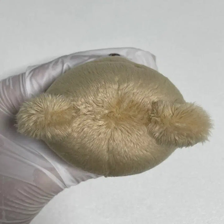 10cm 쨘곰이 인형 양도 (nct해찬 인형)