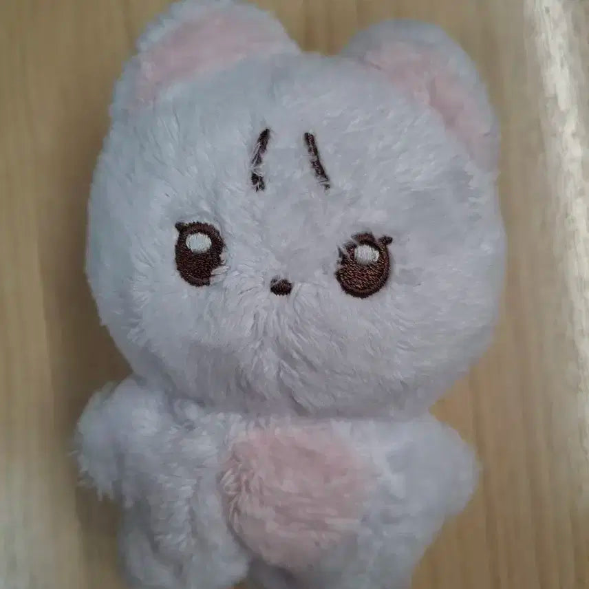 반택포) 더보이즈 뉴 차니냥 양도