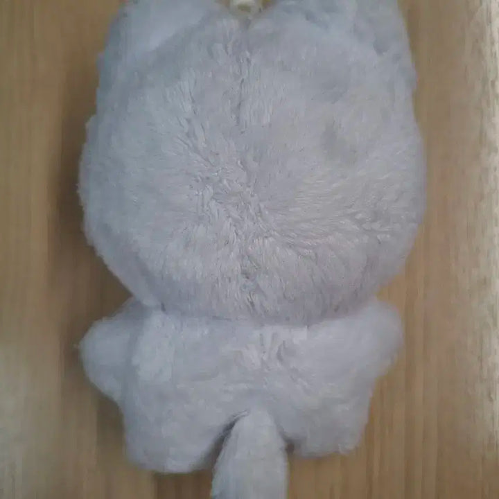 반택포) 더보이즈 뉴 차니냥 양도