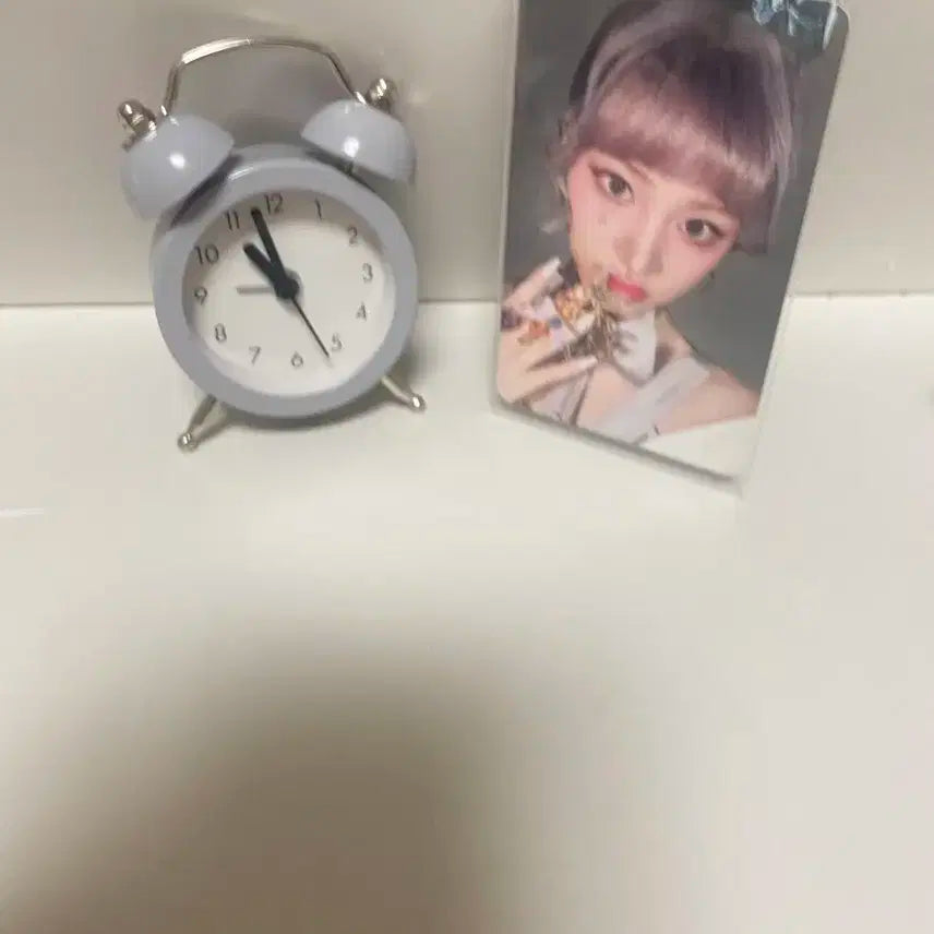 리즈 스위치 앨포