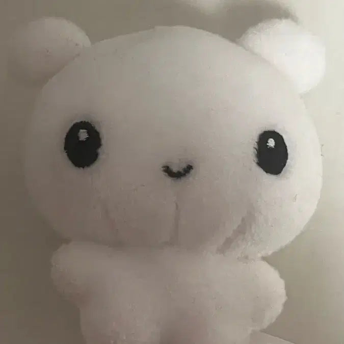 보넥도 운학 가낙디 인형 양도