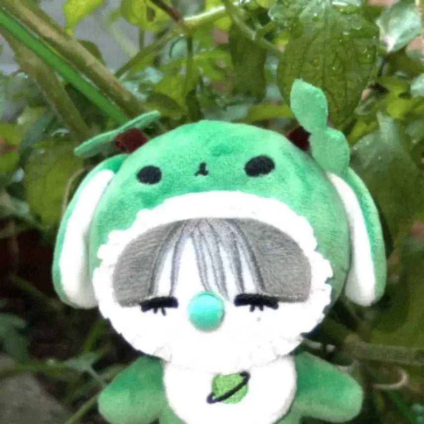 수상한옆집 신선한 옆집 토한이 세트 양도