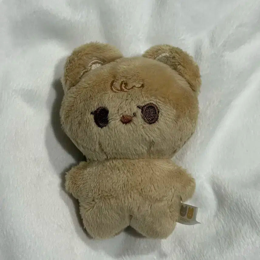 더보이즈 현재 인형 째링