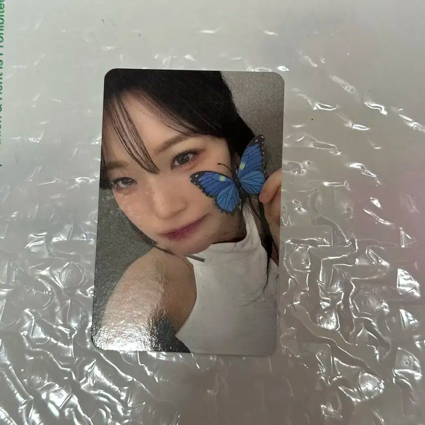 [판매] 프로미스나인 백지헌 메이크스타 나비ver 특전