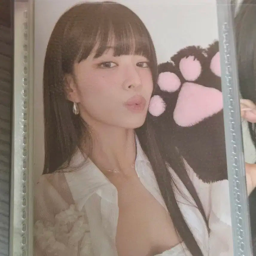 프로미스나인 프롬 포카 채영