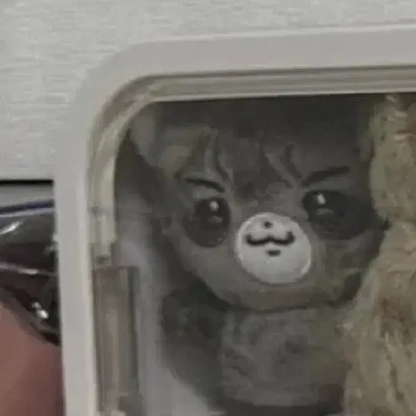 원가이하) 세븐틴 에스쿱스 인형 라쿱