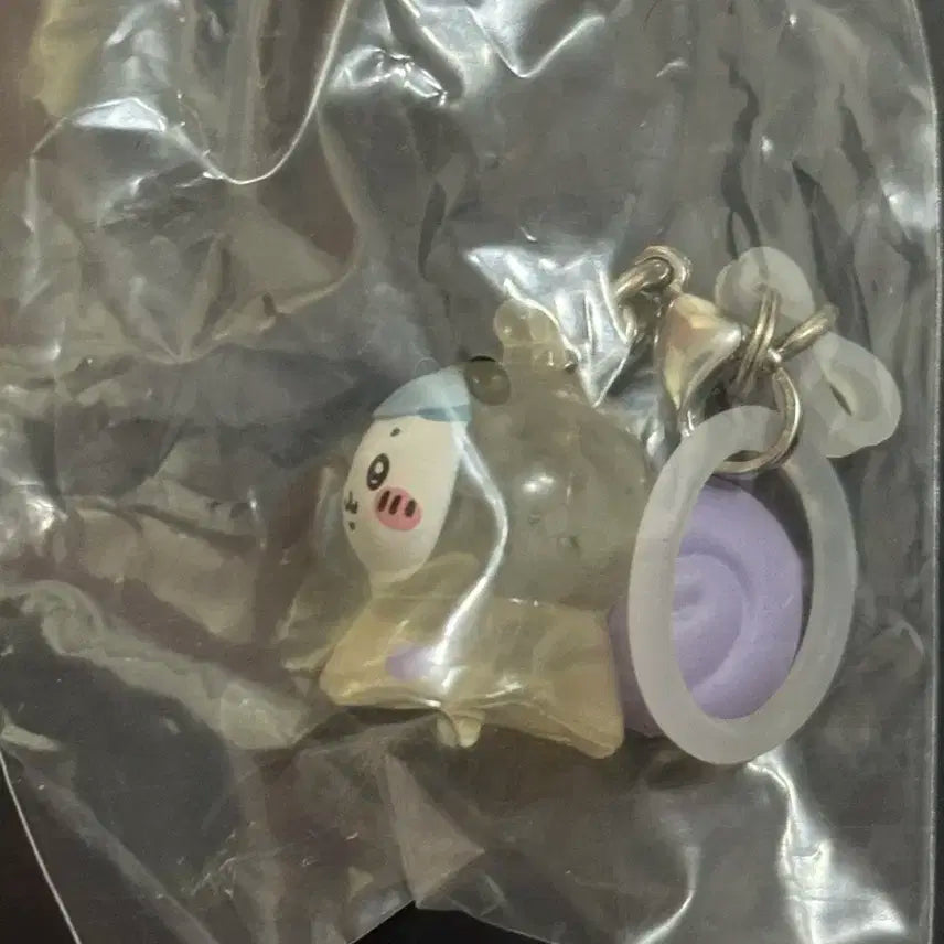 하치와레 메지루시