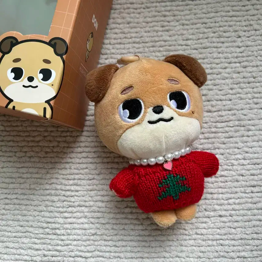 데이식스 데니멀즈 돈