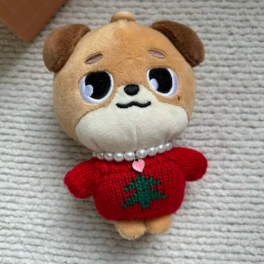 데이식스 데니멀즈 돈