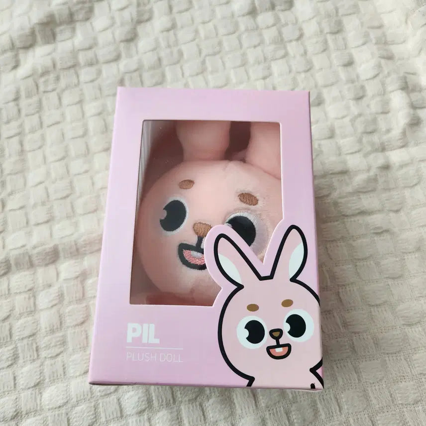 데이식스 24필끼