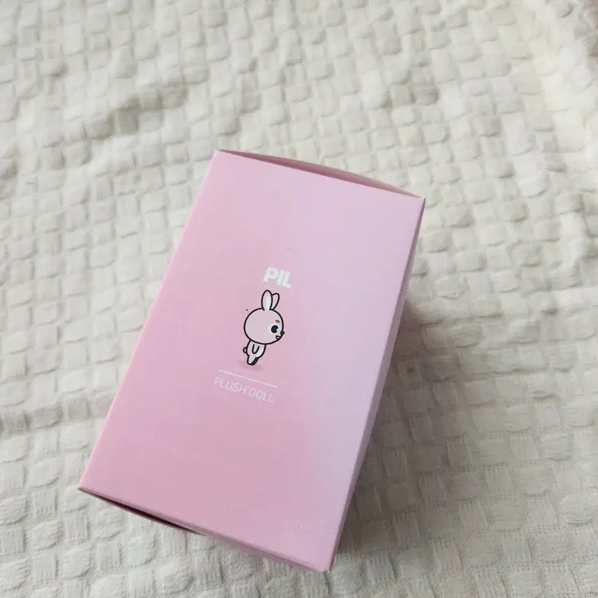 데이식스 24필끼