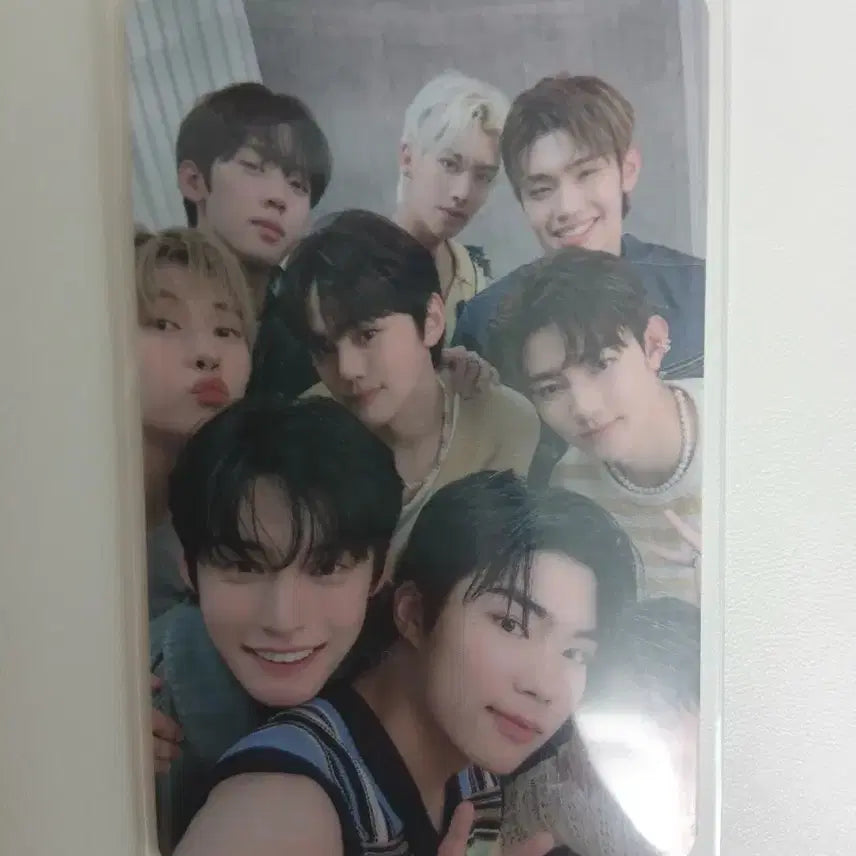 제베원 단체 포카 판매합니다.