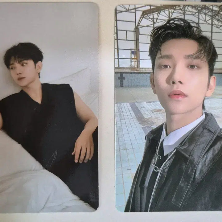 세븐틴 포토카드 일괄 판매
