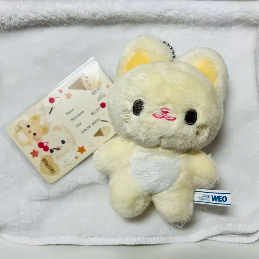 ZB1 제베원 성한빈 인형 햄빈빈 양도