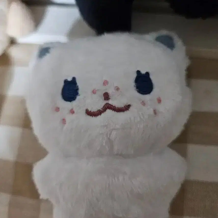 스트레이키즈 필릭스 뽁냥이 입있뽁