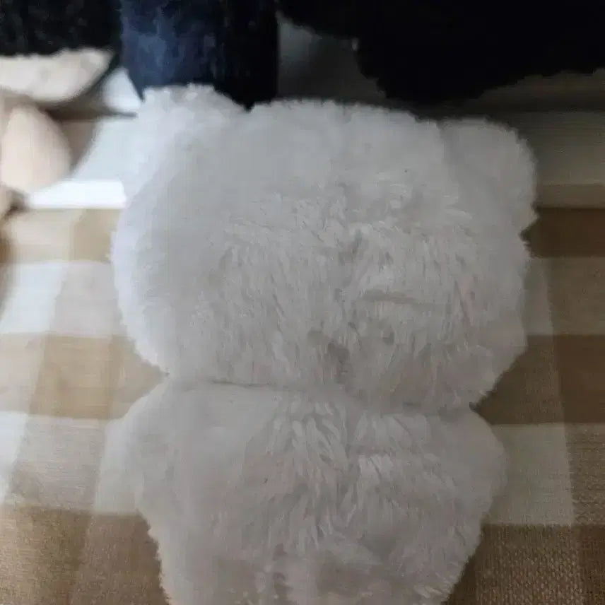 스트레이키즈 필릭스 뽁냥이 입있뽁