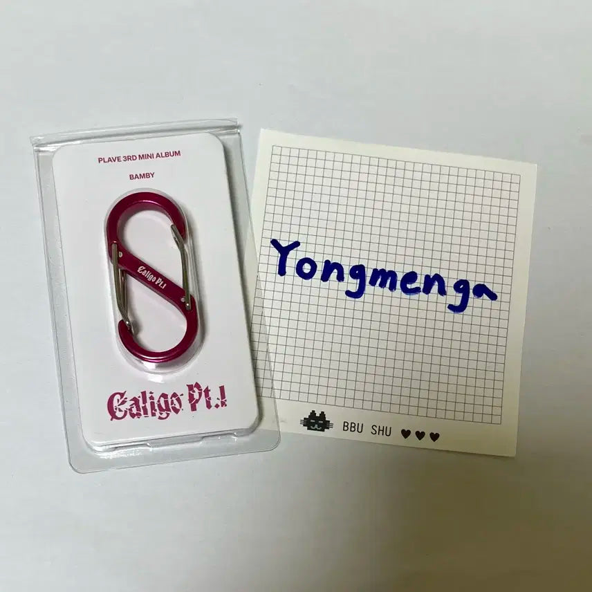 플레이브 대쉬 dash 푸지티브 앨범 칼리고 카라비너 밤비 양도