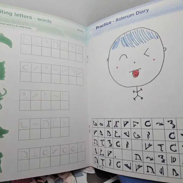플레이브 멤버십 1기 플리 키트 아스테룸어 책자 그림 일기 양도