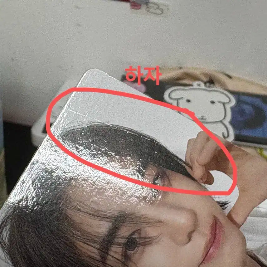보넥도 보이넥스트도어 이한 포카 일괄판매