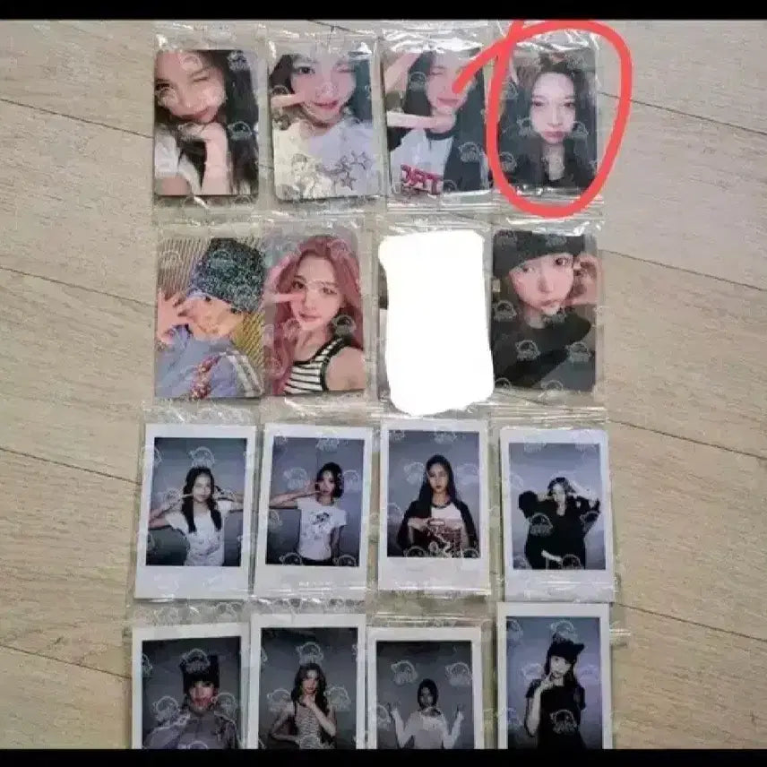 주은, 스텔라 포토카드