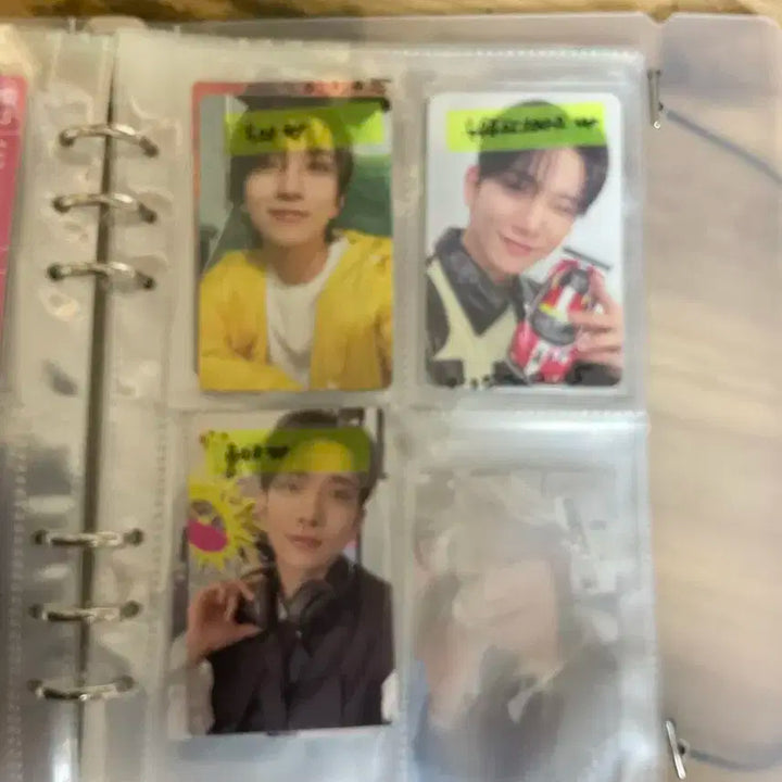 세븐틴 포