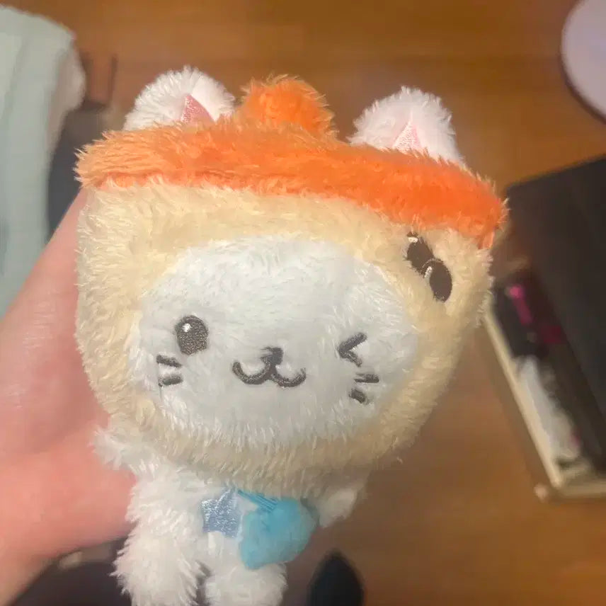 버블냥 판매