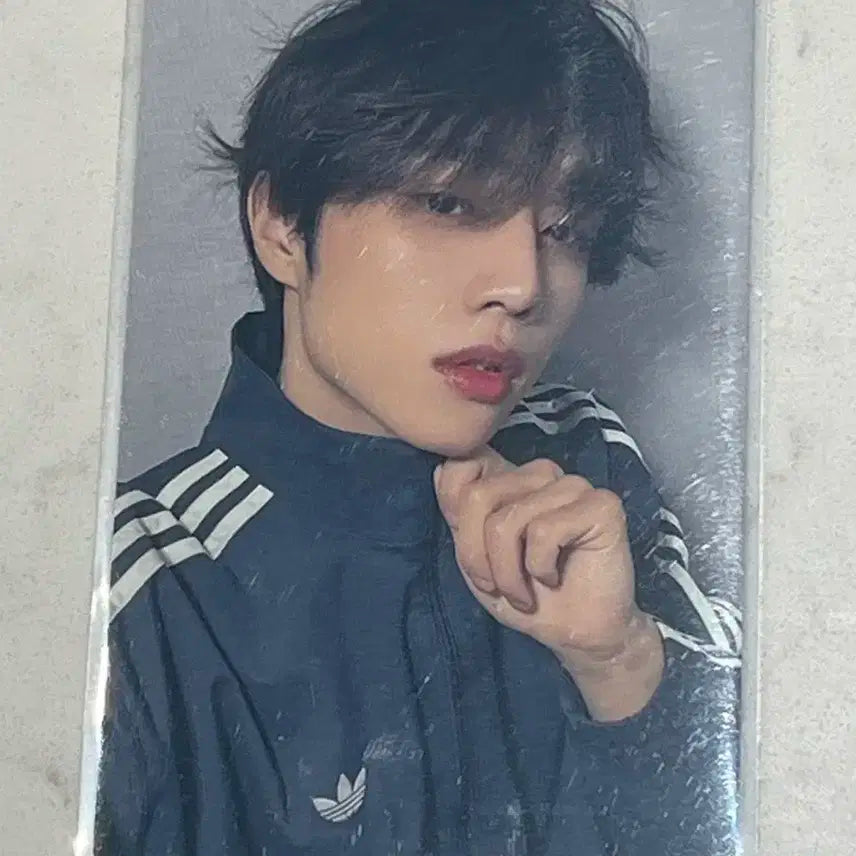 더보이즈 선우 언익스펙티드 비트로드 체대생 미공포 포카 양도 아디다스